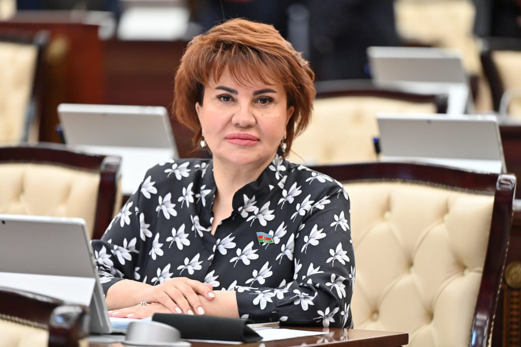 \"Azərbaycan enerji təhlükəsizliyi məsələsində qlobal miqyasda etibarlı tərəfdaş kimi çıxış edir\" - Deputat