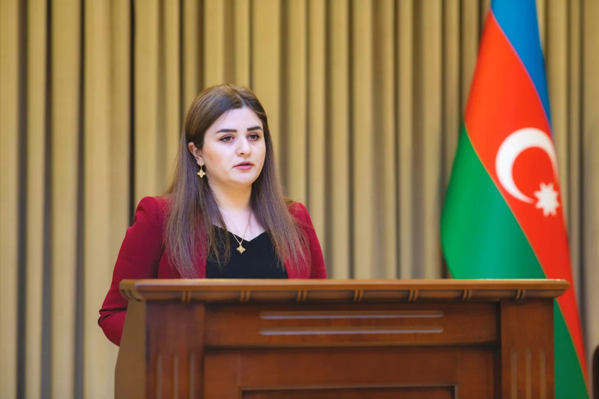 Naxçıvan Ombudsmanından İranın hücumu ilə bağlı BƏYANAT