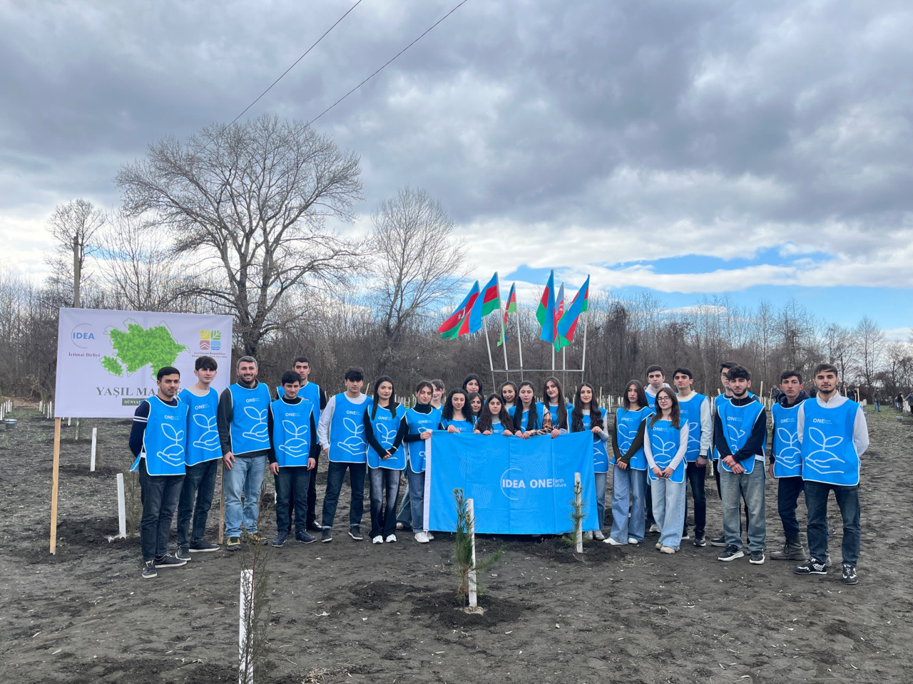 IDEA Zaqatalada kütləvi ağacəkmə aksiyası təşkil etdi - FOTOLAR