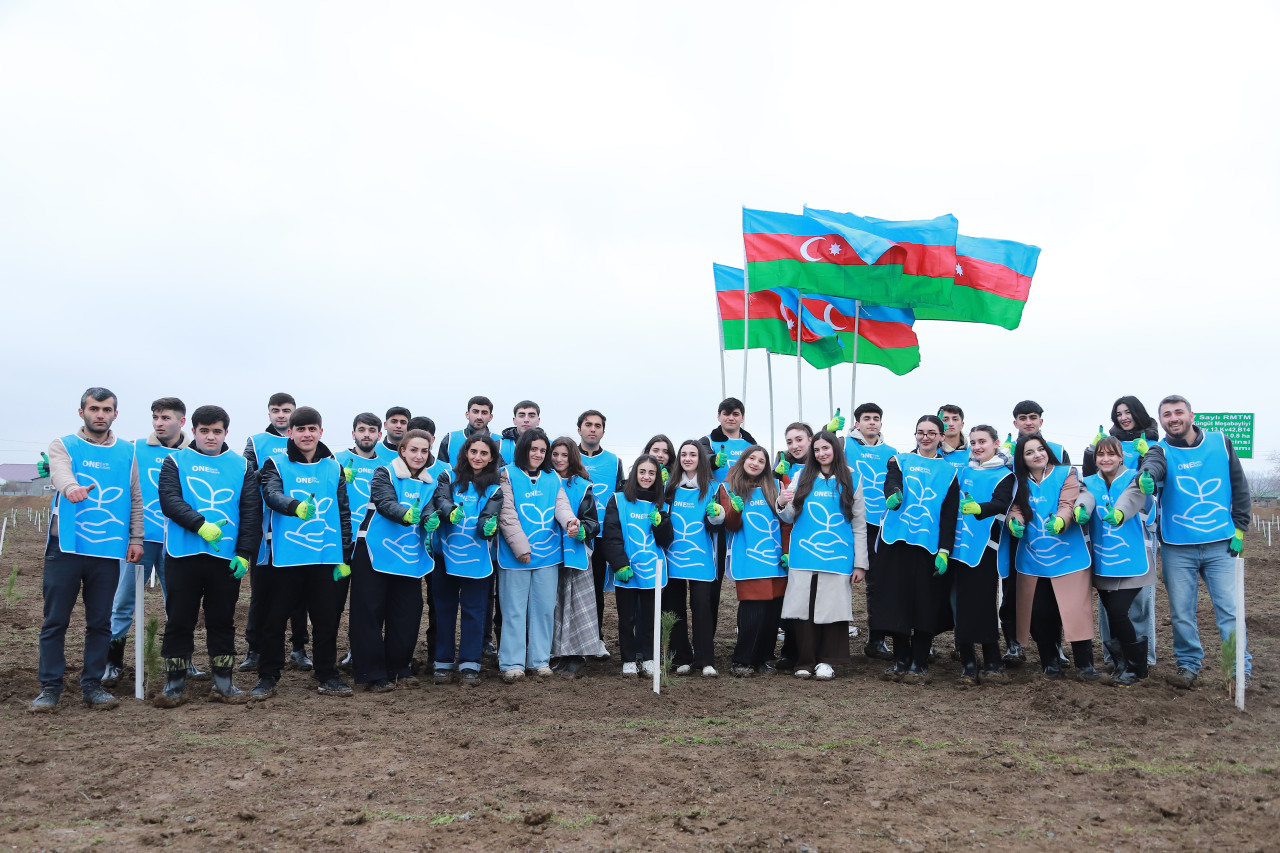 IDEA Şəki və Qəbələdə kütləvi ağacəkmə aksiyası təşkil etdi - FOTOLAR