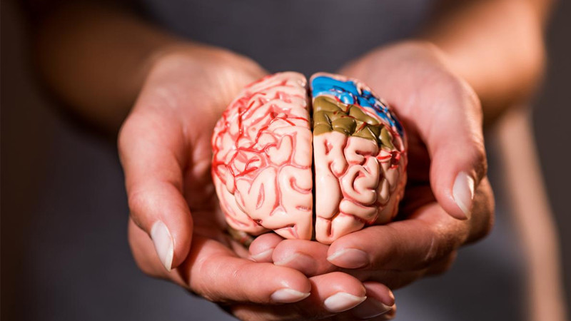 Beyin sağlamlığı üçün bunları yeyin