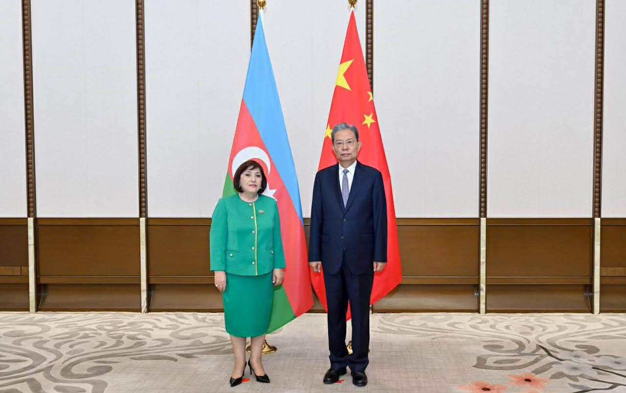 Sahibə Qafarova ilə görüşdə Azərbaycana təşəkkür etdi - FOTOLAR