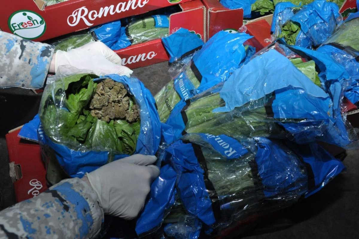 Gömrükdə 56 kq-dan artıq narkotik vasitə aşkar edildi &nbsp;