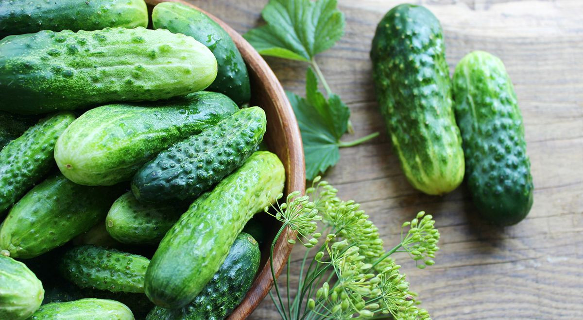 Hava şəraiti fermerləri çətin vəziyyətə salıb: Məhsul itkisi artır - VİDEO