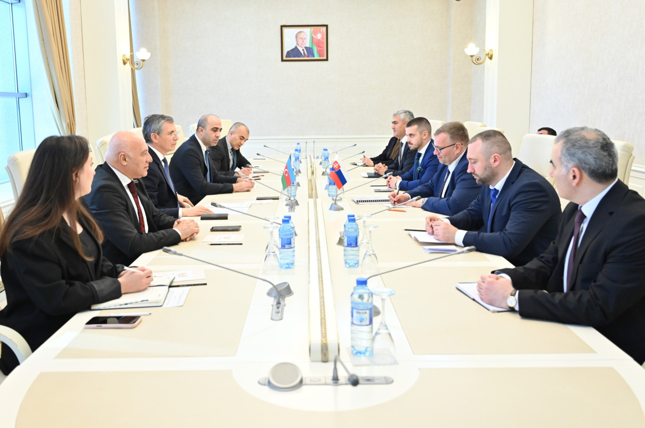 Slovakiya Ombudsmanının rəhbərlik etdiyi nümayəndə heyəti Milli Məclisdə - FOTO