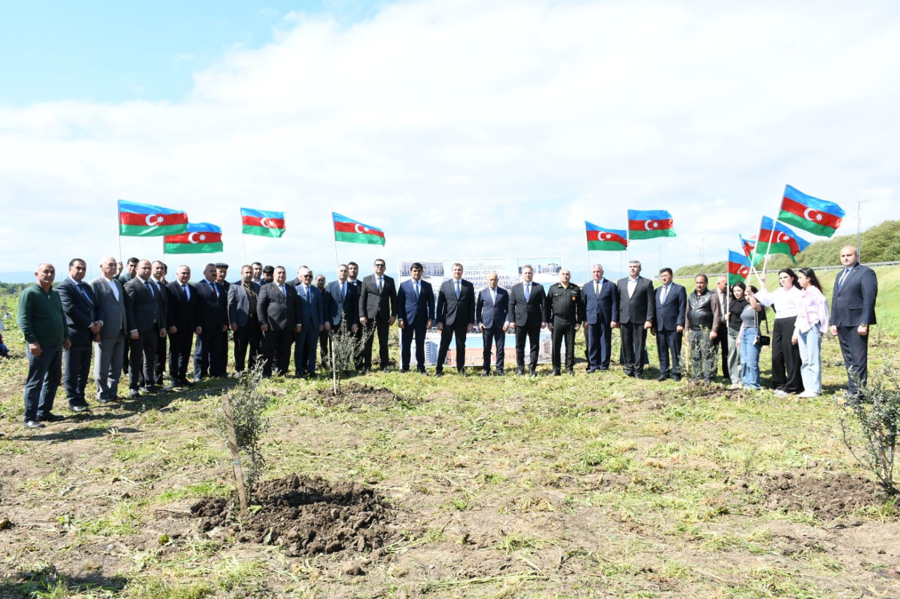 Masallıda növbəti ağacəkmə aksiyası - FOTOLAR