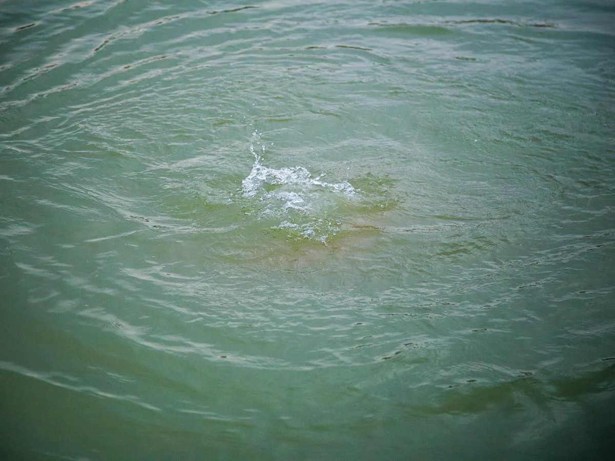 &nbsp;7 yaşlı qız kanalda boğuldu - Tərtərdə FACİƏ