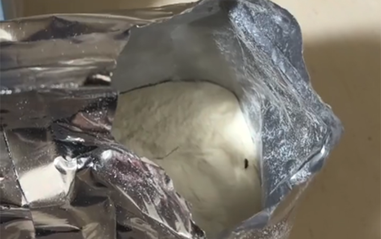 Uşaq qidasından həşərat çıxıb? - VİDEO