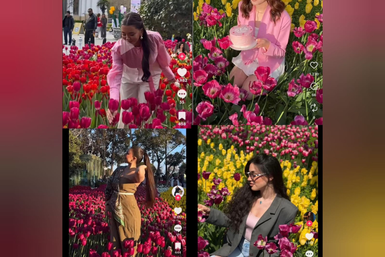 Bulvarda gülləri əzənlər tanınmış blogerlər imiş - ADLAR - FOTO