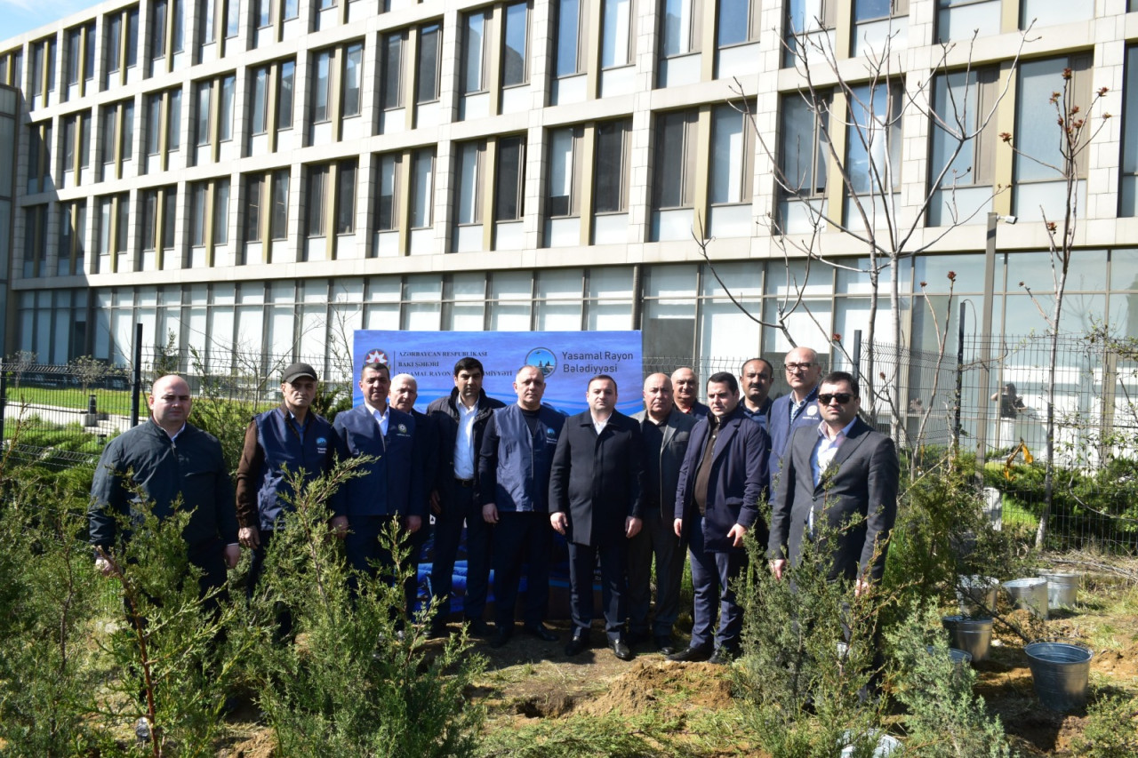 Yasamalda ağacəkmə aksiyası keçirildi - FOTOLAR