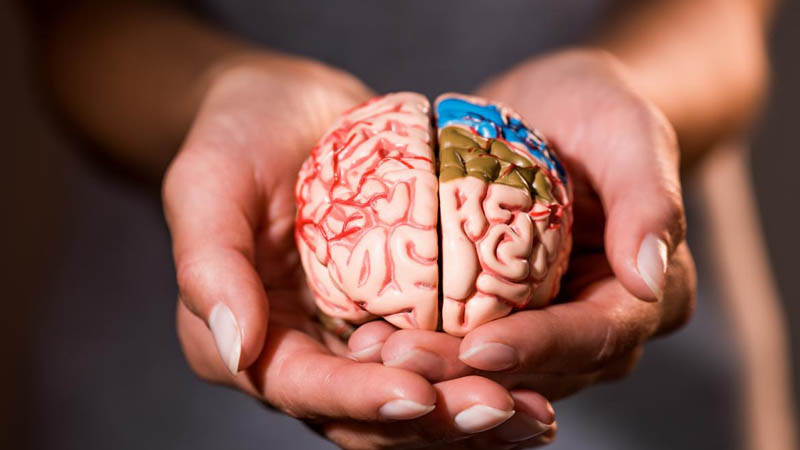 Dayandırmalı olduğunuz 5 vərdiş - Nevroloqlar açıqladılar