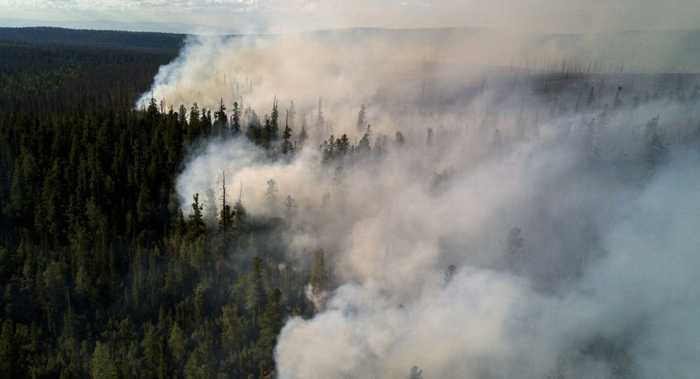 ABŞ-də güclü meşə yanğınları - 54 ev külə döndü