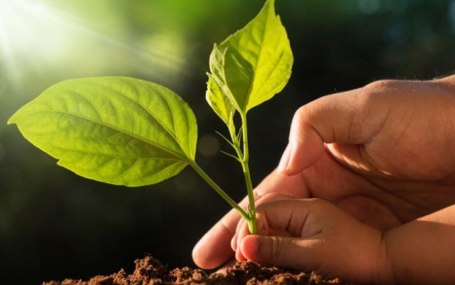 Ətraf mühitin qorunması - Azərbaycanın ekoloji gələcəyi