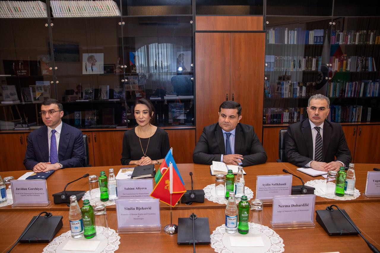 Səbinə Əliyeva Monteneqro Ombudsmanı ilə görüşdü - FOTO