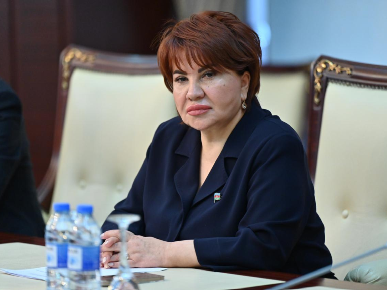 \"İlham Əliyevin Zəngilandakı çıxışı mühüm mesajlarla zəngin idi\" – Deputat&nbsp;