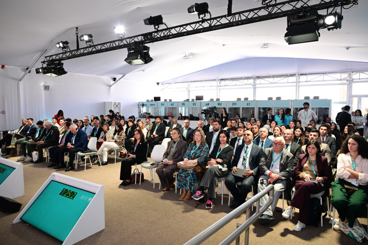“UNESCO-nun yaradıcı şəhərləri və dayanıqlı şəhərsalma” mövzusunda panel sessiyadan&nbsp;FOTOLAR