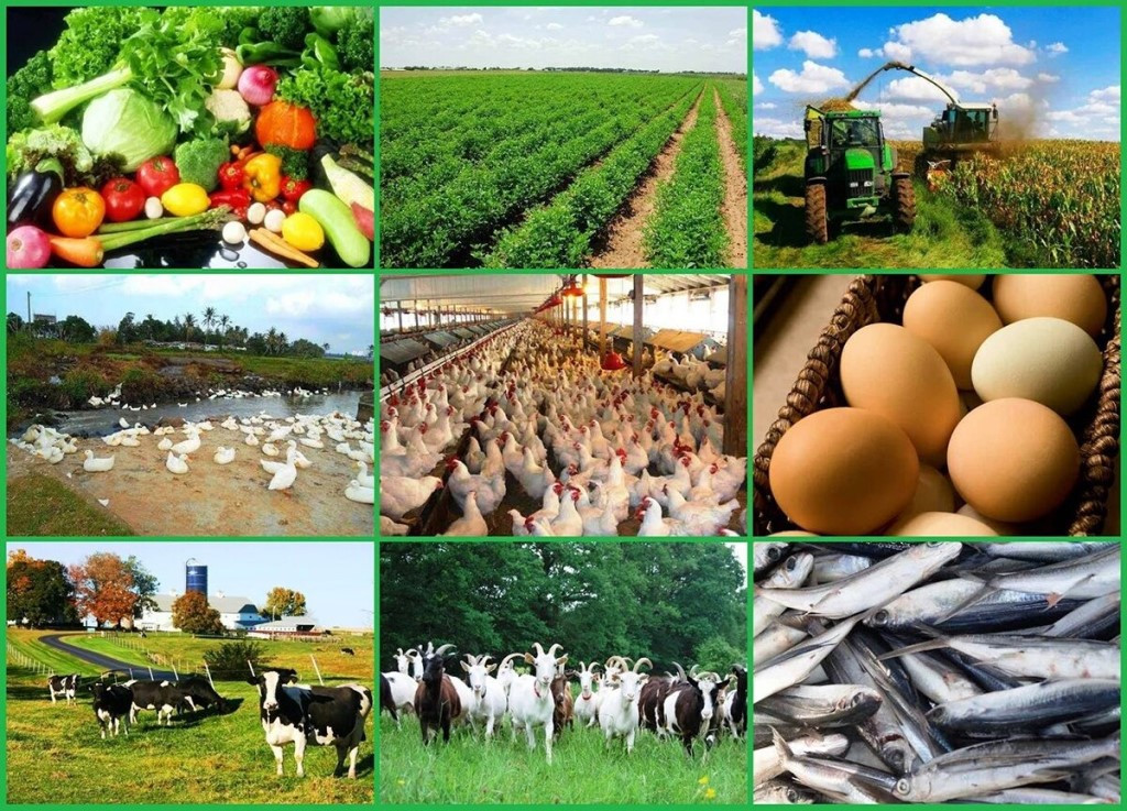 Azərbaycanda aqrar sektorun inkişafı yolları müzakirə olunur - Regional görüşlər başladı