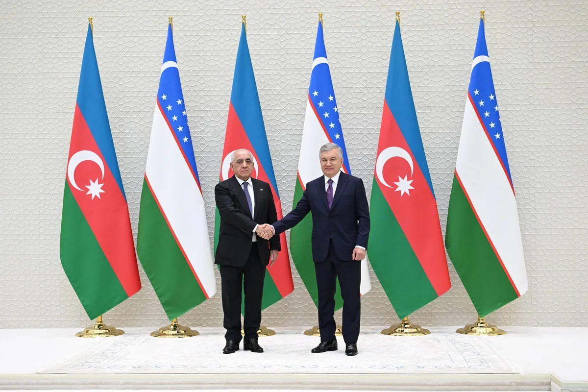 Əli Əsədov Özbəkistan Prezidenti ilə görüşdü - FOTOLAR
