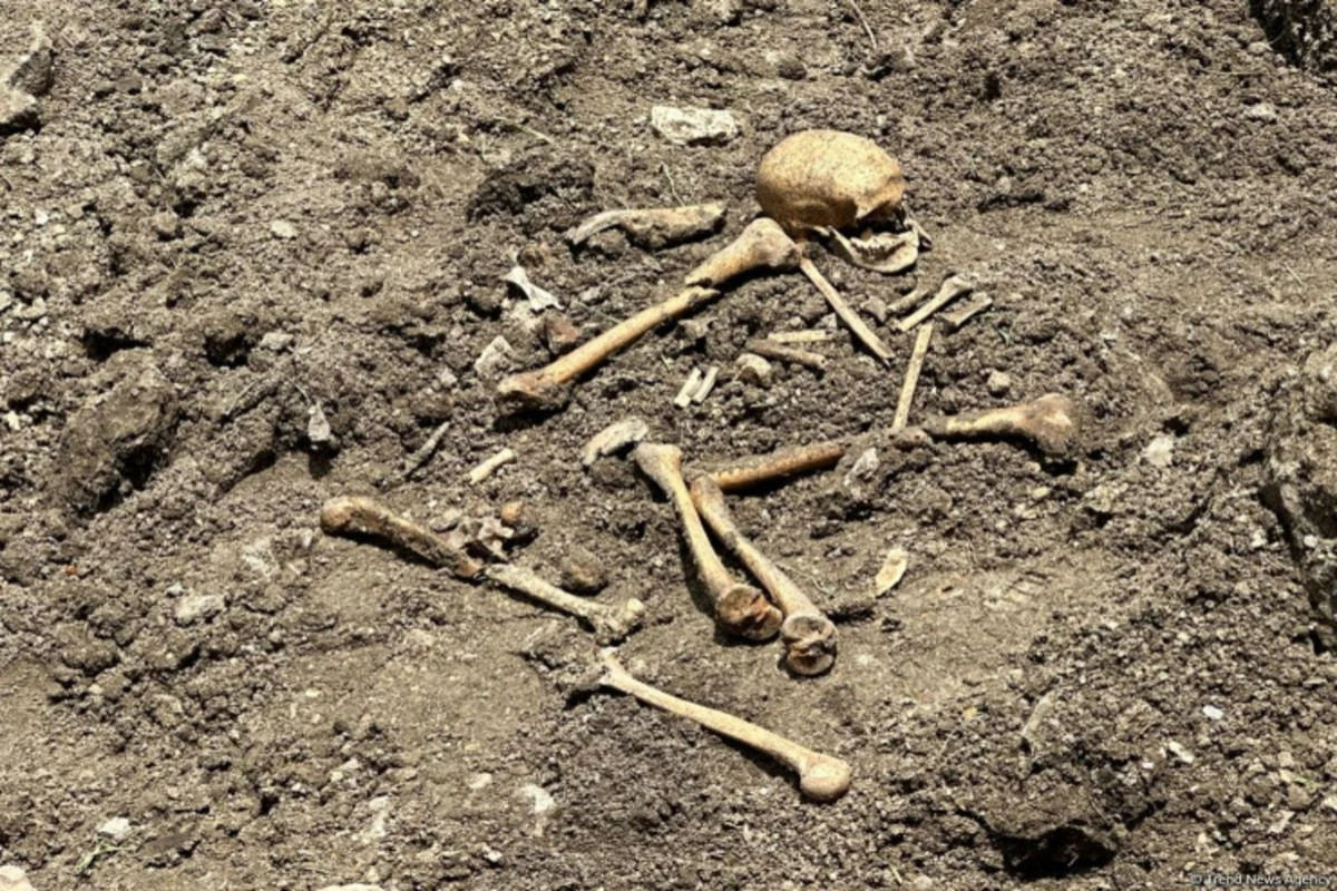 Ağdamda insan skeletinə bənzər qalıqlar aşkarlandı