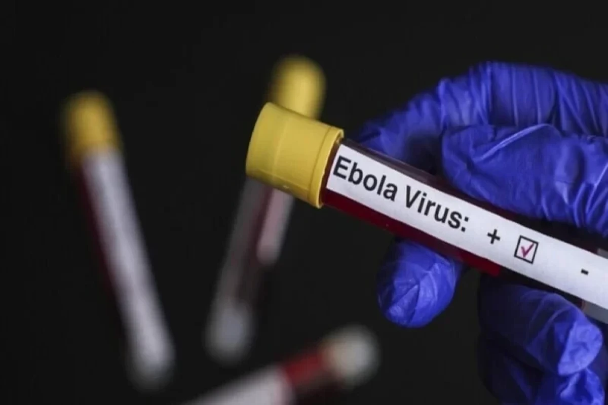 Ebola virusu riski altında olan ölkələr