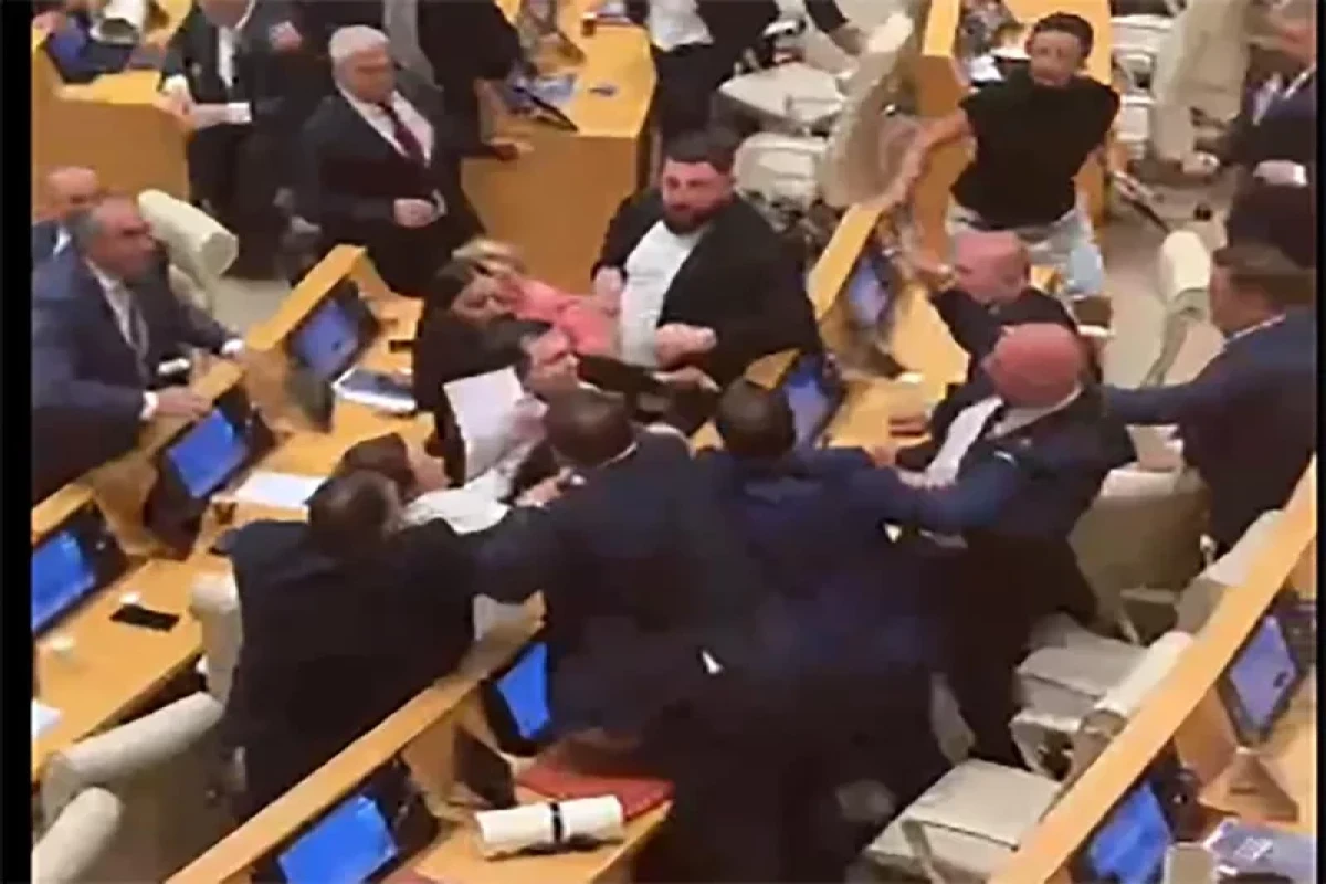 Gürcüstan parlamentinin iclasında dava düşdü - VİDEO
