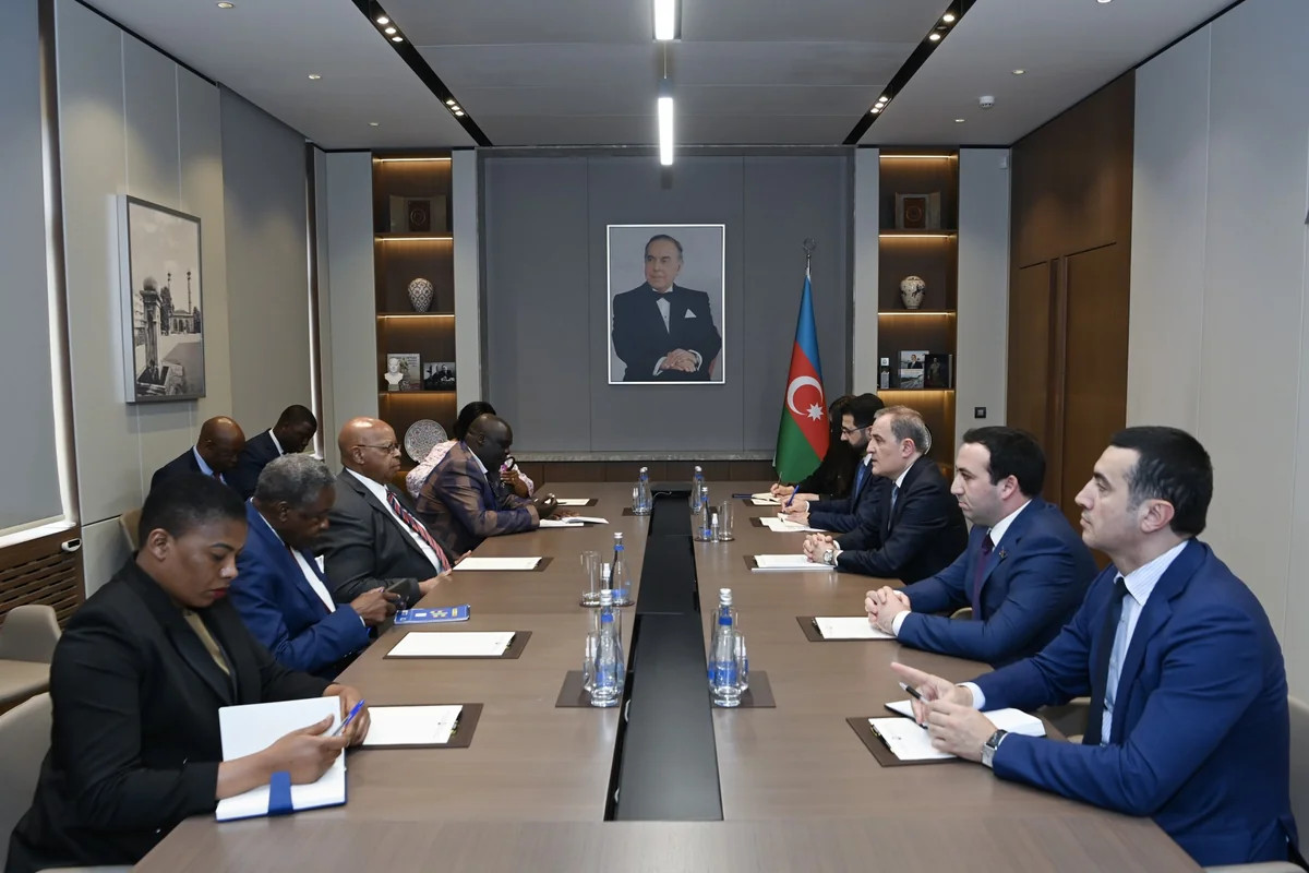 Ceyhun Bayramov Zimbabve Milli Assambleyasının sədri ilə görüşdü - FOTO