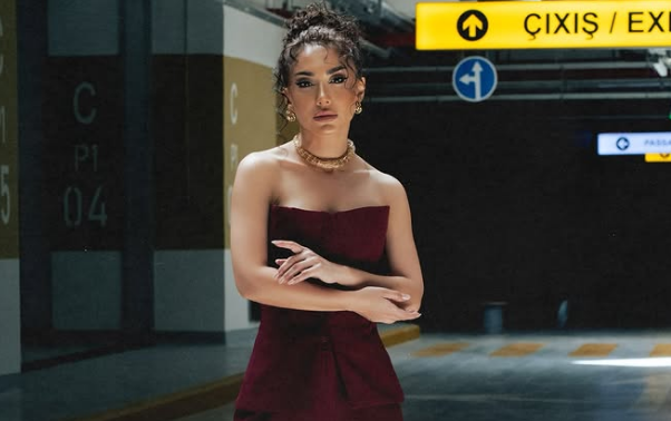 Mehinin ölkədən çıxışına \"stop\" qoyuldu&nbsp;