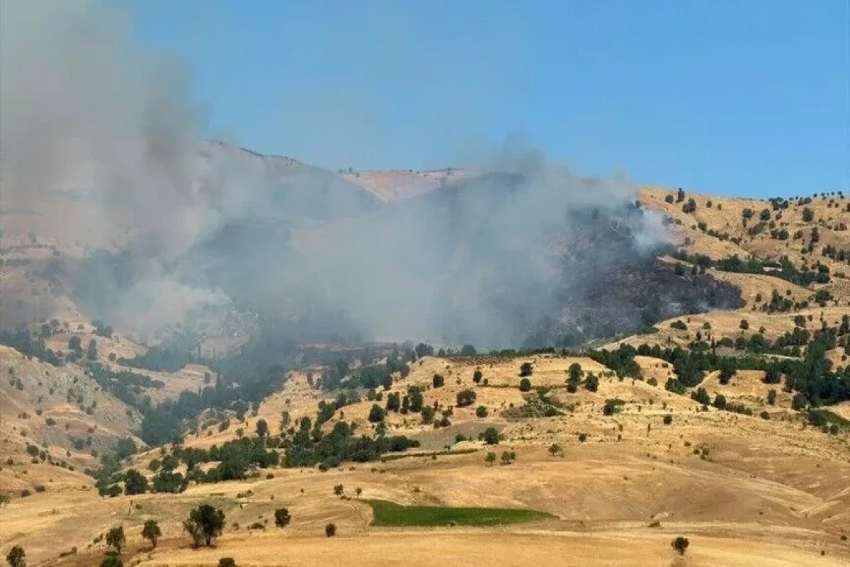 Muğla və Diyarbəkirdə meşə yanğınları başladı