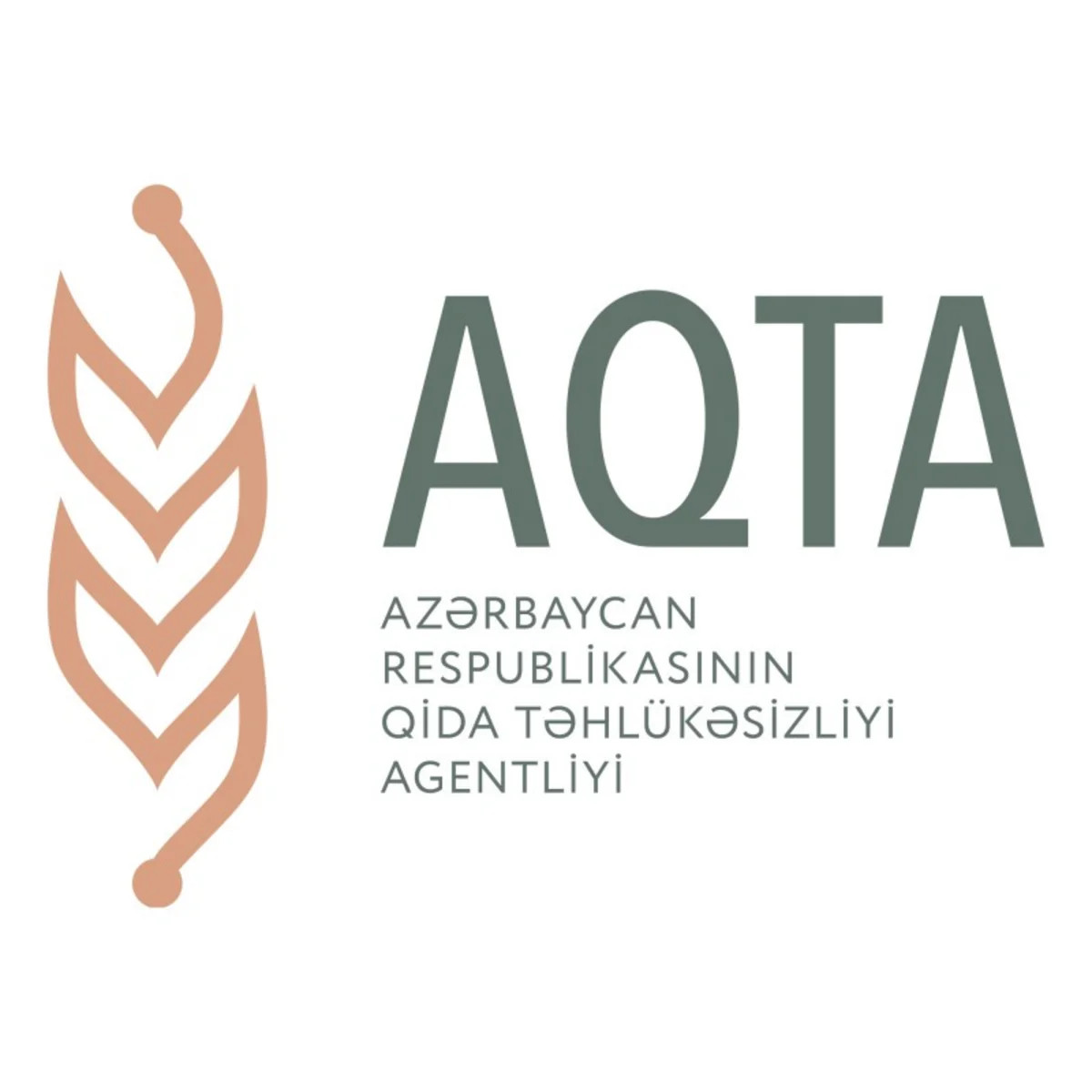 AQTA Gəncədəki zəhərlənmə ilə bağlı araşdırmaya&nbsp;başladı
