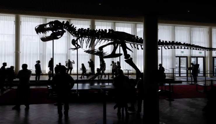 ABŞ-də dinozavr skeleti şok qiymətə satıldı&nbsp;