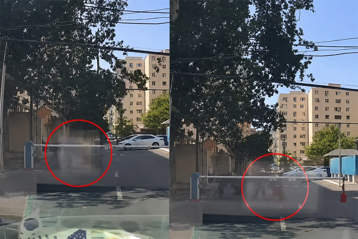 Bakıda sınan ağac budağı qadının üzərinə düşdü - ANBAAN VİDEO