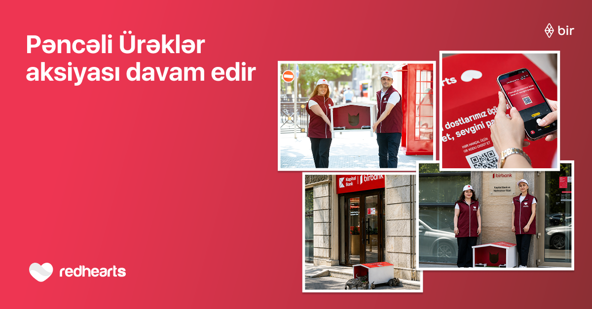 “Pəncəli Ürəklər”də yuvaların sayı 35-ə çatdı