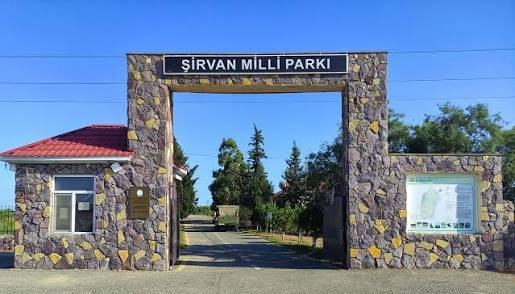 Ferması dağıdıldı, mal-qarası tələf edildi- Şirvan Milli Parkında QALMAQAL