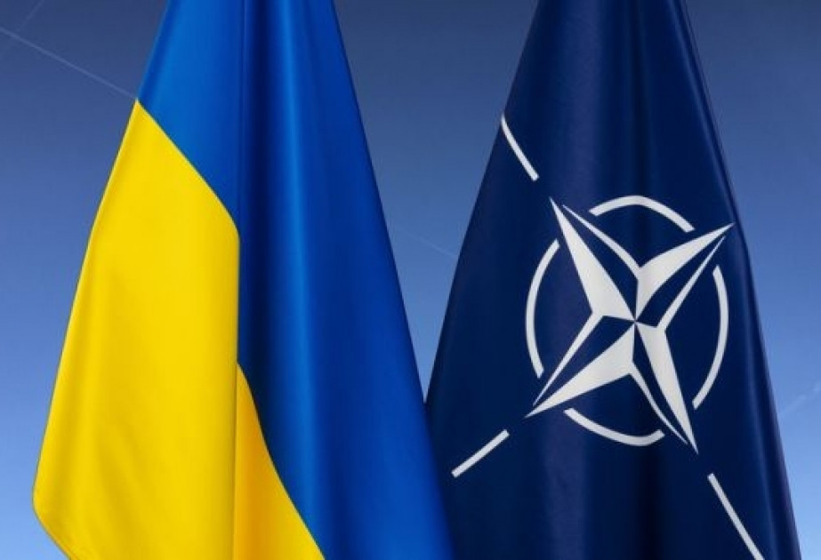 Ukrayna NATO-dan kömək istədi