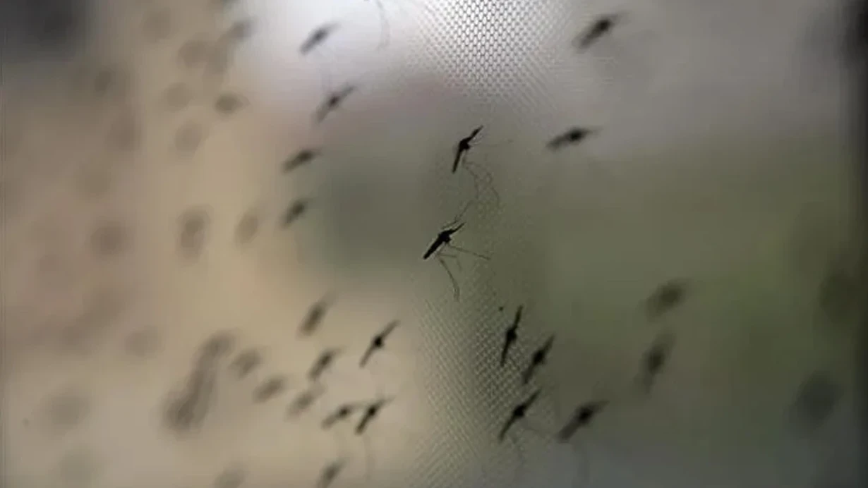 Təhlükəli virus can almağa davam edir&nbsp;