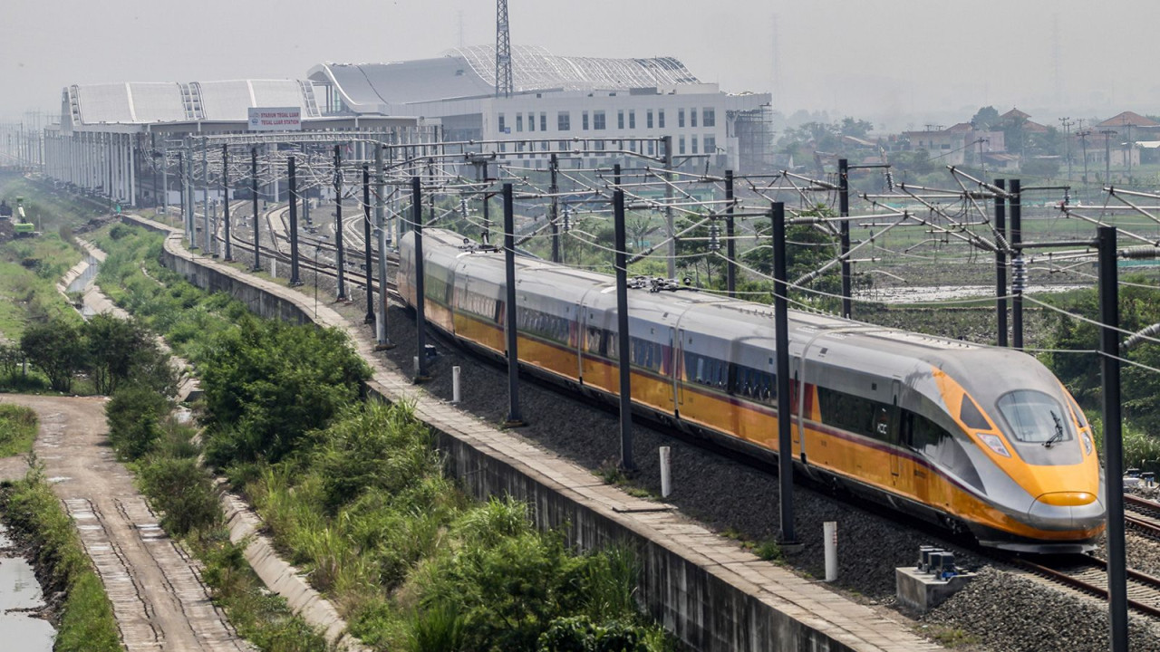 Səyahət kabusa çevrildi - Qatarı ilanlar basdı / FOTO