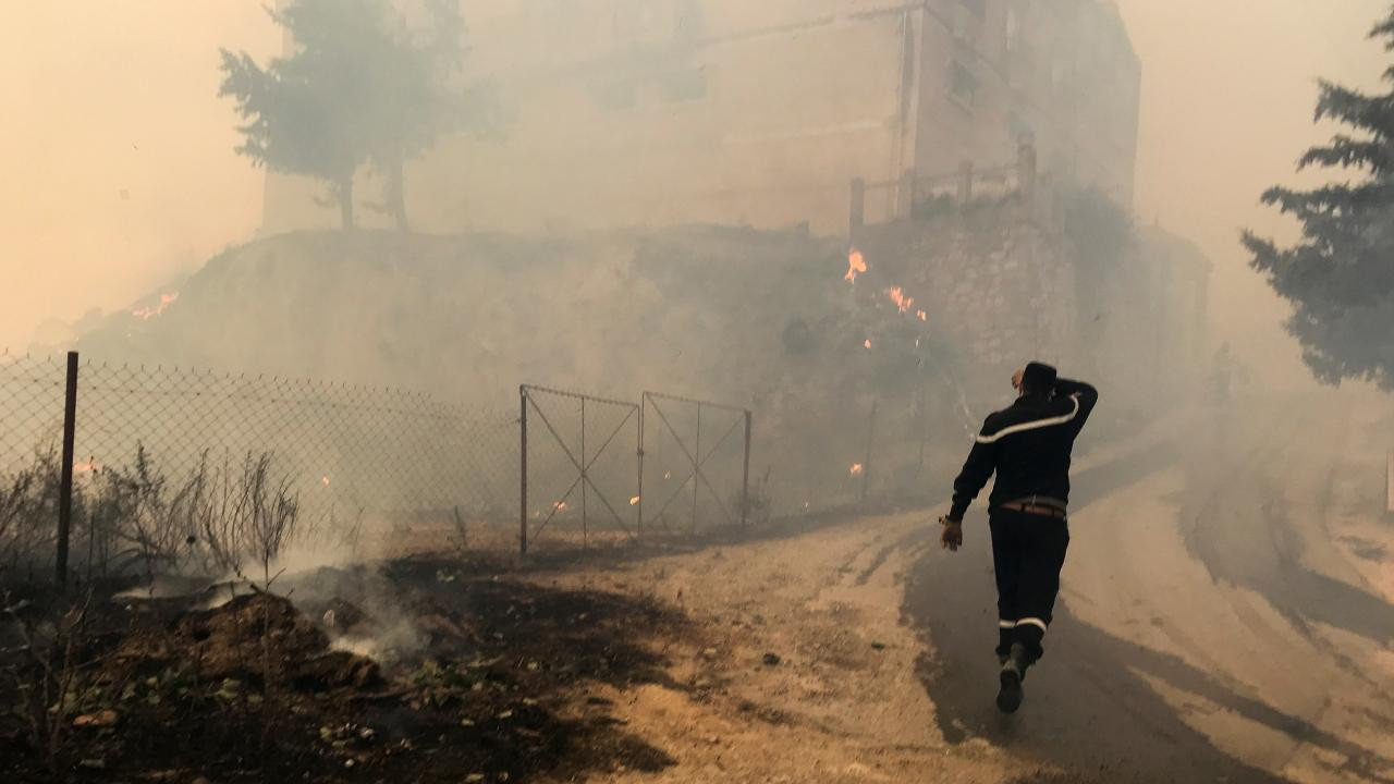 Dəhşətli meşə yanğınlarında&nbsp;12 nəfər həlak oldu, 54 nəfər yaralandı