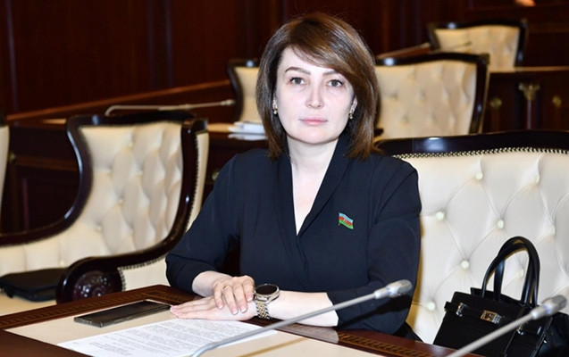 Keçmiş deputat tələbə oldu