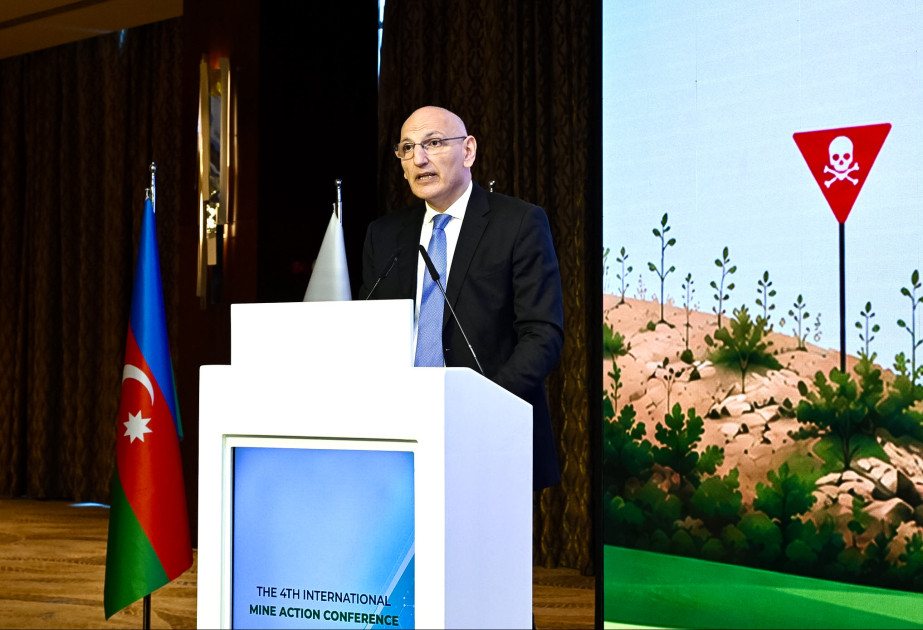 \"Atəş səsləri kəsilsə də, minalar susmayıb\" - Elçin Əmirbəyov&nbsp;