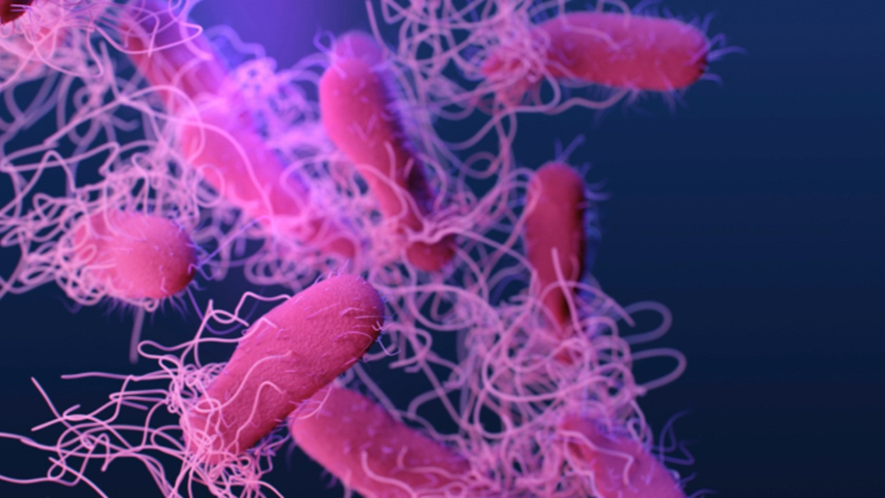 Sürətlə yayılan epidemiya 81 nəfərin ölümünə səbəb oldu