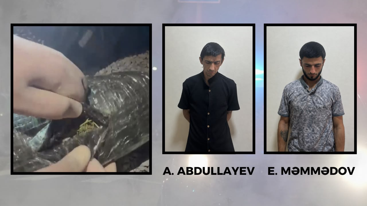 Göyçayda 3 kiloqramdan artıq narkotik vasitə aşkarlandı 