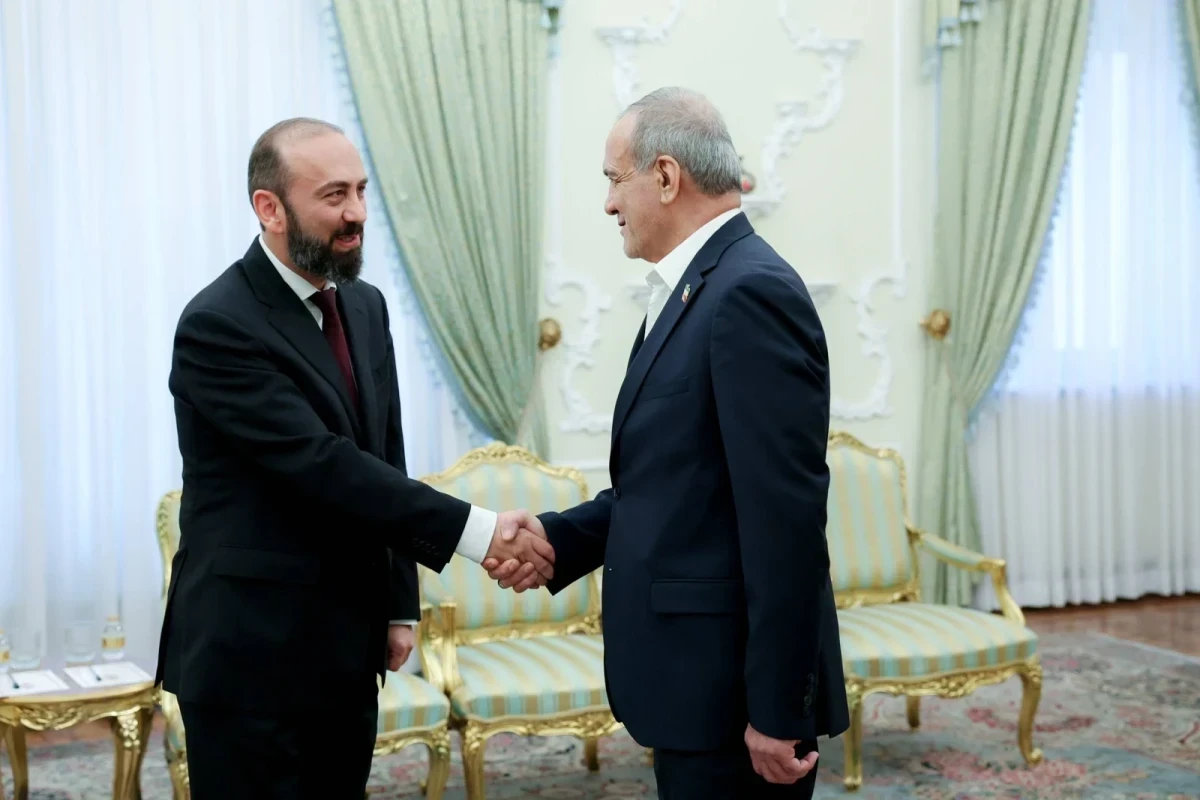 Mirzoyan Pezeşkiana TRIPP layihəsinin icrası barədə məlumat verdi
