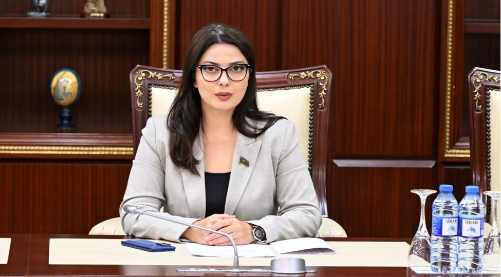 \"Yad təsirlərin cəmiyyətimizdə parçalanma yaratmasına imkan verməməliyik \" - Səbinə Salmanova