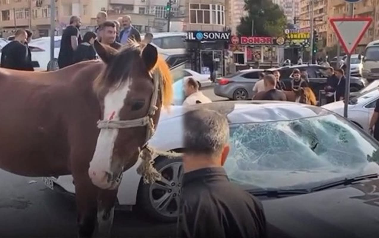 Bakıda maşınla toqquşan atın sahibi saxlanıldı - YENİLƏNİB