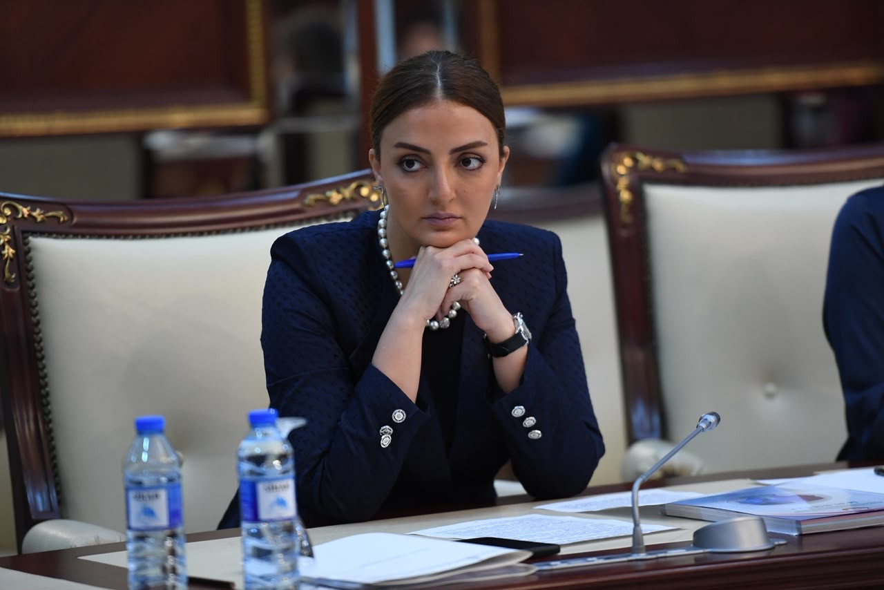 “Azərbaycanın siyasətinə müdaxilə yolverilməzdir” - DEPUTAT