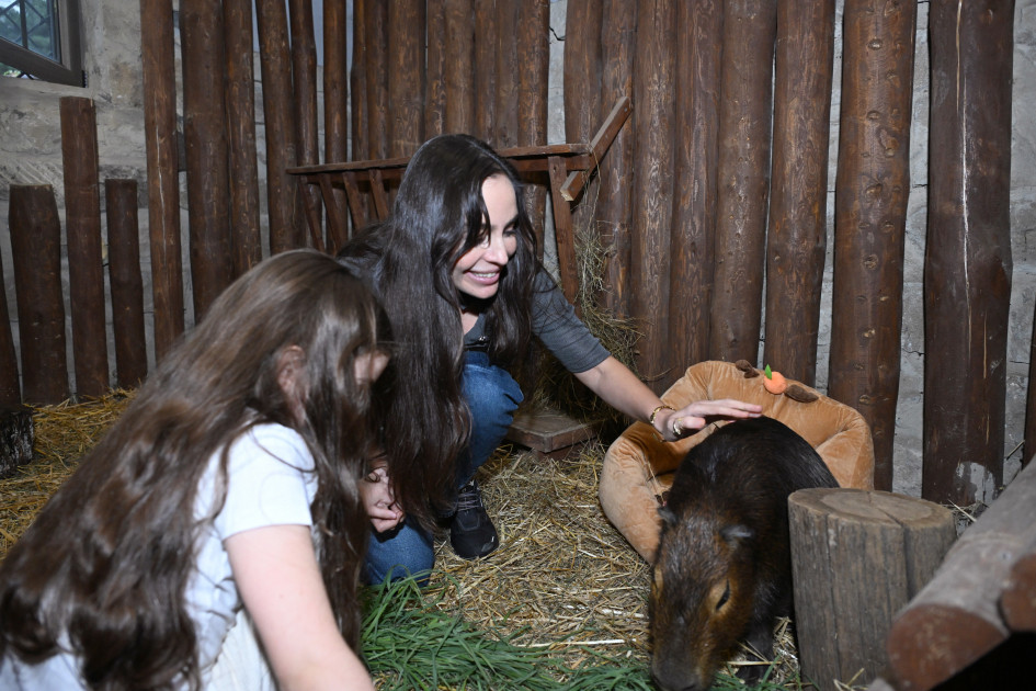 Leyla Əliyeva Şamaxıda \"Capybara Azerbaijan\"da - FOTOLAR