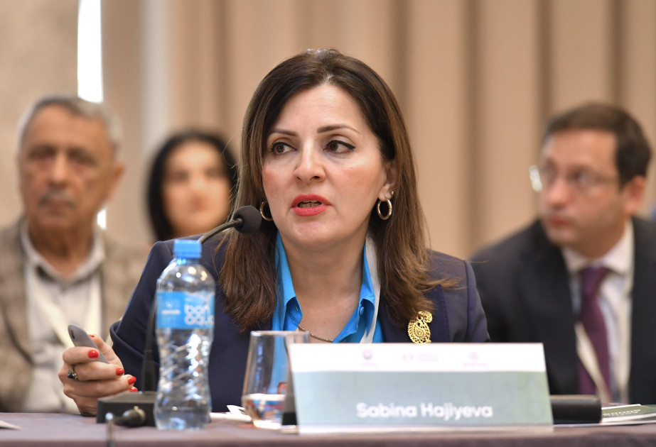 “ “Azərbaycan Mədəniyyəti – 2040” Konsepsiyası  uzunmüddətli hədəfləri müəyyən edir” - Səbinə Hacıyeva