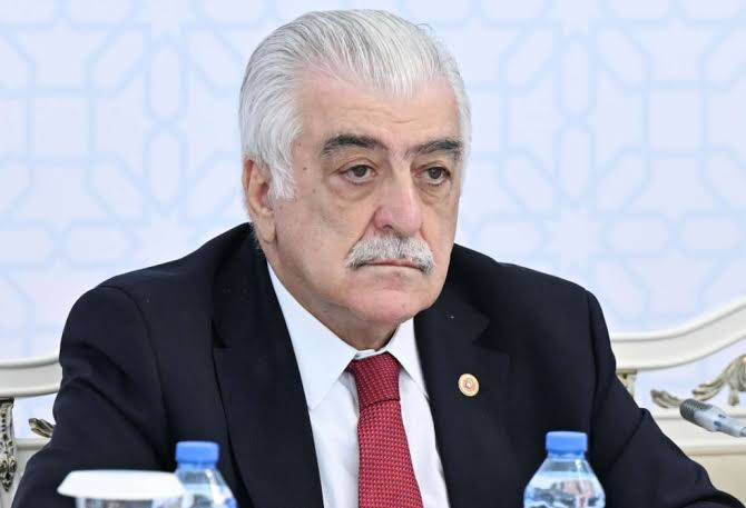 \"Türk dilli ölkələrin birliyi çoxlarını qorxuya salır\" - Şamil Ayrım