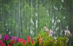 Hava ilə bağlı&nbsp; XƏBƏRDARLIQ