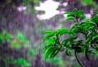 Temperatur 3-6 dərəcə enəcək - XƏBƏRDARLIQ